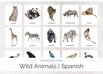 all wild animals in one picture