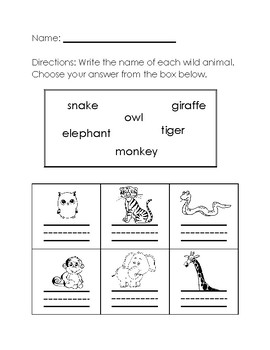 Wild Animals Worksheet #2 by Aileen Chu | Teachers Pay Teachers