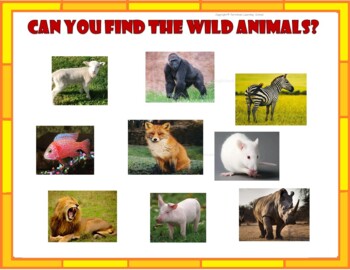 real wild animals