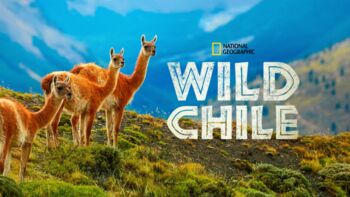 Preview of Wild Chile 3 episode bundle - National Geographic - Movie Guide