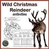 Wild Christmas Reindeer Activity Pack