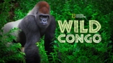 Wild Congo Episode 1 & 2 Bundle - National Geographic - Mo