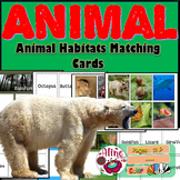 Wild Discoveries: Animal Habitat Flashcards for Interactiv