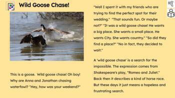 Wild Goose Chase', Meaning & Context Of Shakespeare Phrase