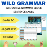 Wild Grammar Sentence Grammar Skills Practice Interactive 