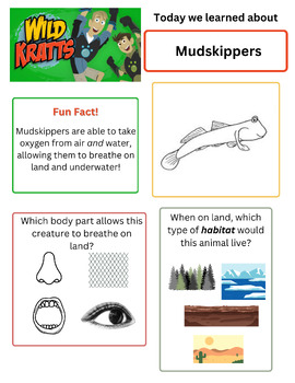 Preview of Wild Kratts NEW SEASON Student Worksheets Bundle