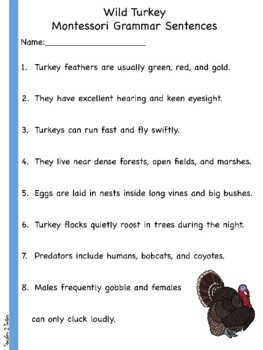 Preview of Wild Turkey Montessori Grammar Sentences