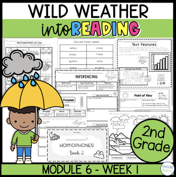 Preview of Wild Weather | HMH Into Reading | Module 6 Week 1