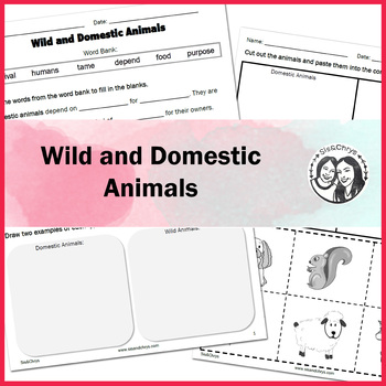 Domestic Animals Worksheets Teaching Resources | TPT