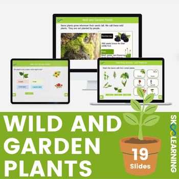 Preview of Wild and Garden Plants Digital Resources (for preschool, pre-k, and kinder)