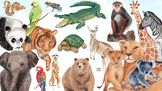Wild animal artwork for nature themed class High resolutio