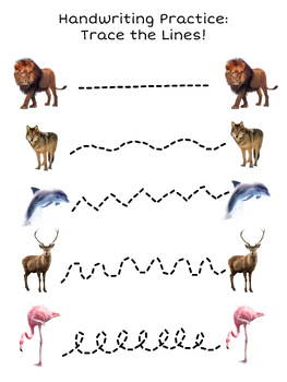 Preview of Wild animal matching printable traceable worksheet