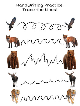 Preview of Wild animal matching printable traceable worksheet 2