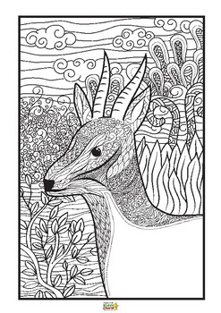 Mindfulness Coloring Book for Teens & Adults