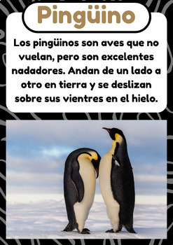 Wild animals, Spanish Fun Facts Flashcards, Real Photos Printable ...