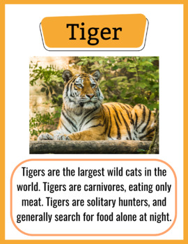 Amazing Wild Facts: Bengal Tiger : Aakash & Adithya's Amazing Wild Facts  For Toddlers (Paperback) 