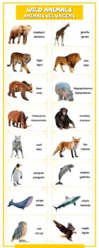 Preview of Wild animals vocabulary bilingual infographic in English and Portuguese