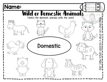 wild or domestic animals by from martz to class tpt