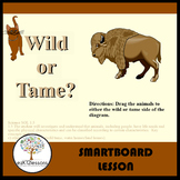 Wild or Tame? | Smartboard Activity