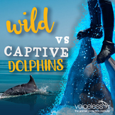 Wild vs Captive Dolphins | Video Transcript