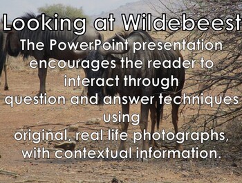 Preview of WILDEBEEST - Interactive PowerPoint presentation including video snippets