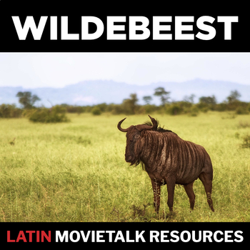 Preview of Wildebeest MovieTalk resources for LATIN
