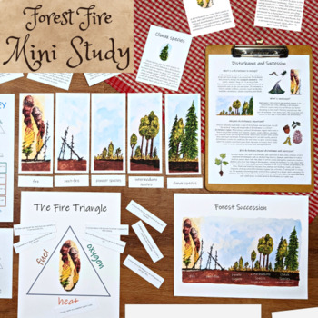 Preview of Wildfire & Succession Mini Study: Forest fire study set, forest ecology lesson