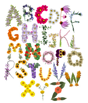 Preview of Wildflower Alphabet | Phonetic Flower ABC Poster | Nature ABC Poster