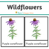 Wildflowers - Montessori 3-Part Cards