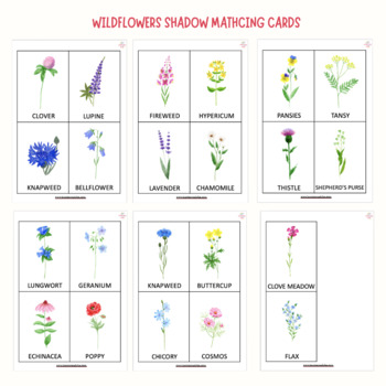 Wildflowers Preschool Centers, Shadow Matching Activity, Summer Flowers ...