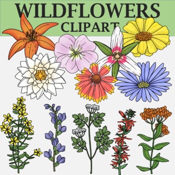 Preview of Wildflowers of North America Clip Art