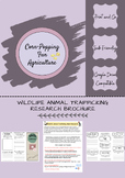 Wildlife Animal Trafficking Brochure Activity