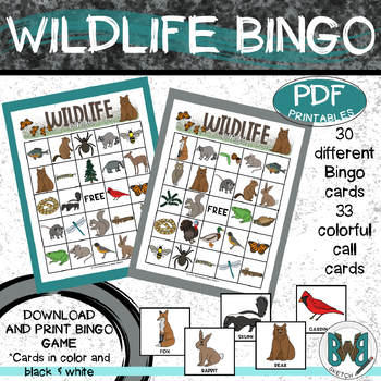 Preview of Wildlife Bingo Game and bonus Nature Walk Scavenger Hunt