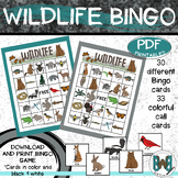 Wildlife Bingo Game and bonus Nature Walk Scavenger Hunt
