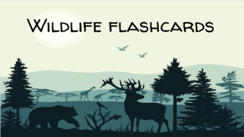 Preview of Wildlife Flashcards