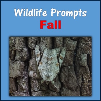 Preview of Wildlife Prompts (Fall)