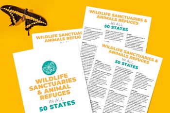 Preview of Wildlife Sanctuary Refuges in All 50 States