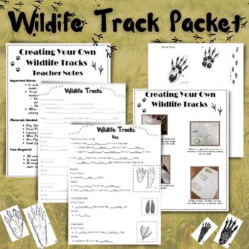 Preview of Wildlife Track Bundle (Notes, Practice, Lab)