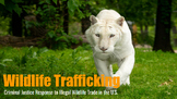 Wildlife Trafficking: Slides + Packet [Self-Directed Study]