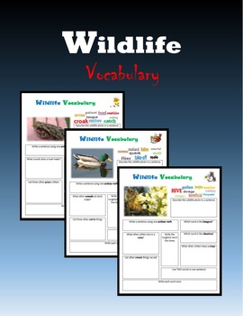 Preview of Wildlife Vocabulary