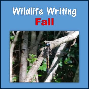 Preview of Wildlife Writing (Fall)