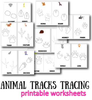 Animal Tracks Worksheet Bundle Identify Animal Tracks Educational Print PDF