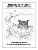 Wildlife in Winter - a reading resource with student activities