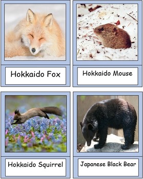Preview of Wildlife of Japan