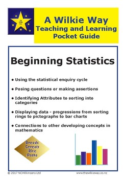 Preview of Wilkie Way Pocket Guide To Beginning Statistics