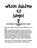 SubStep 4.2 Bingo! Closed Syllable & VCe Syllables Combined