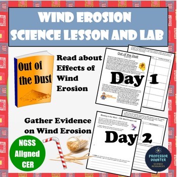 Preview of Wind Erosion Lab and CER Activity Worksheets NGSS 4ESS2-1 MS-ESS2-2