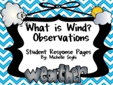 Wind Observations