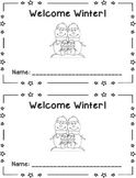 Winter 2 Digit Addition and Subtraction Book {FREEBIE}