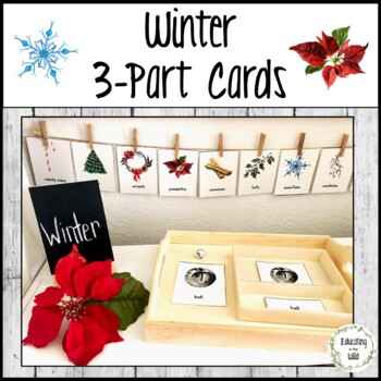 Preview of Winter 3 Part Activity Cards